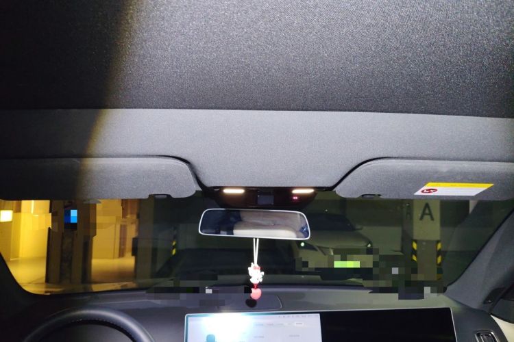 Used Li Auto L6 2024 Pro Model Headliner