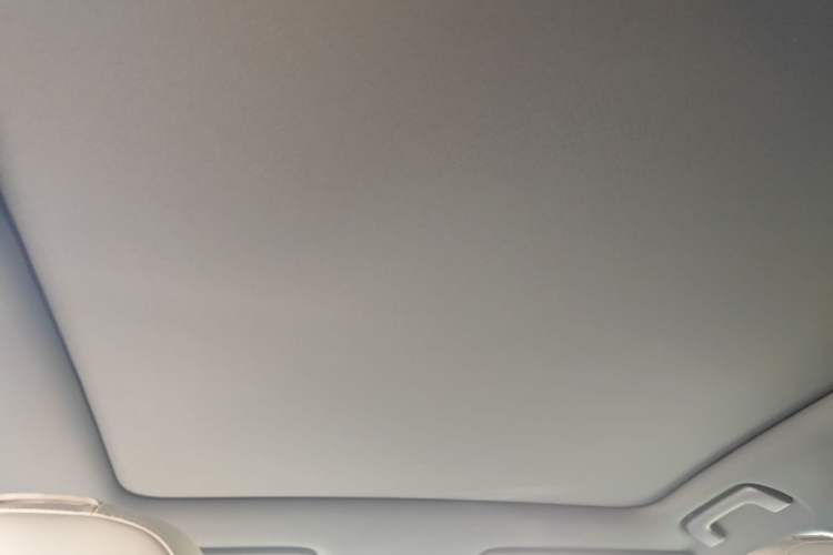 Used Li Auto L6 2024 Pro Model Headliner