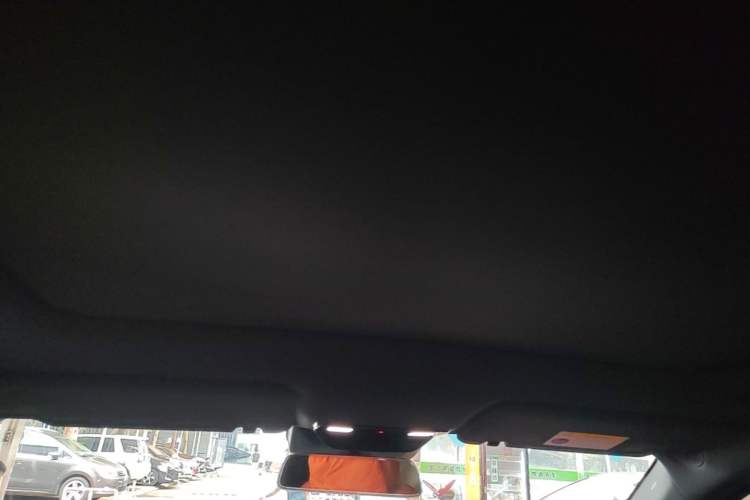 Used Li Auto L6 2024 Pro Model Headliner