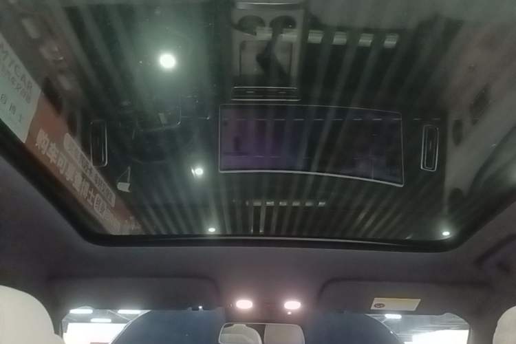 Used Li Auto L6 2024 Pro Model Headliner