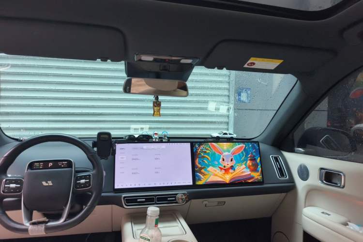 Used Li Auto L6 2024 Pro Model Headliner