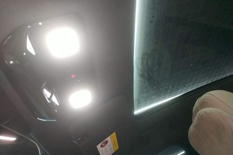 Used Li Auto L6 2024 Pro Model Headliner