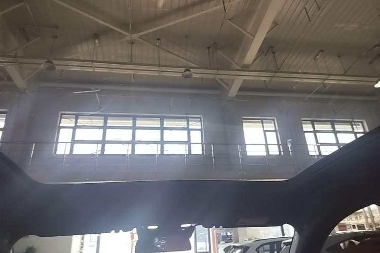 Used Li Auto L6 2024 Pro Model Headliner