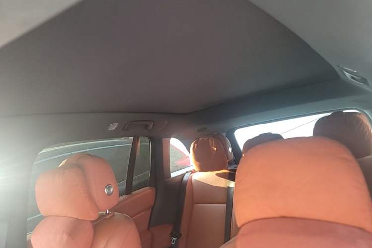 Used Li Auto L6 2024 Pro Model Headliner
