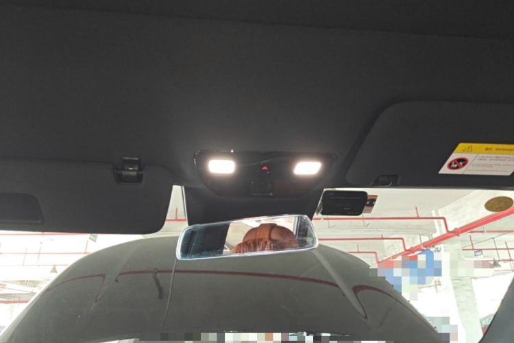 Used Li Auto L6 2024 Pro Model Headliner