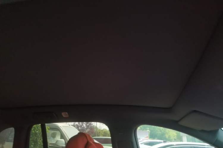 Used Li Auto L6 2024 Pro Model Headliner