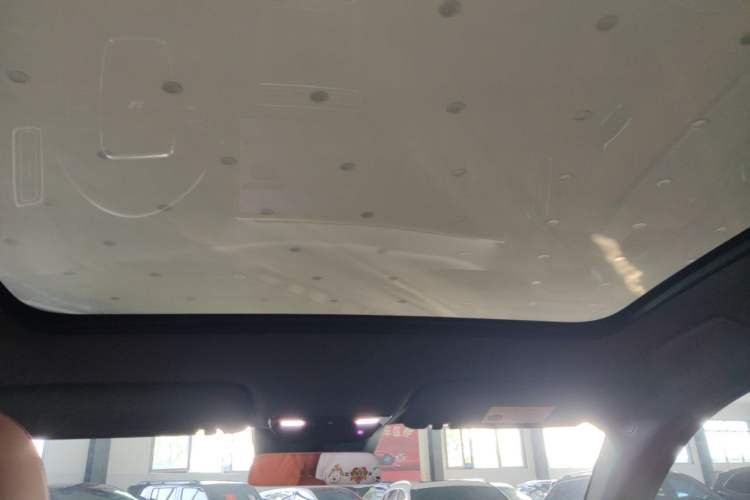 Used Li Auto L6 2024 Max Headliner