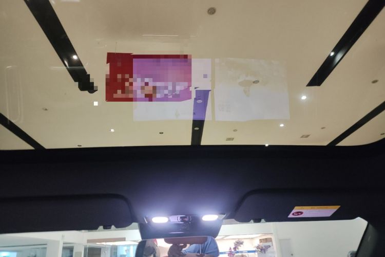 Used Li Auto L6 2024 Pro Model Headliner