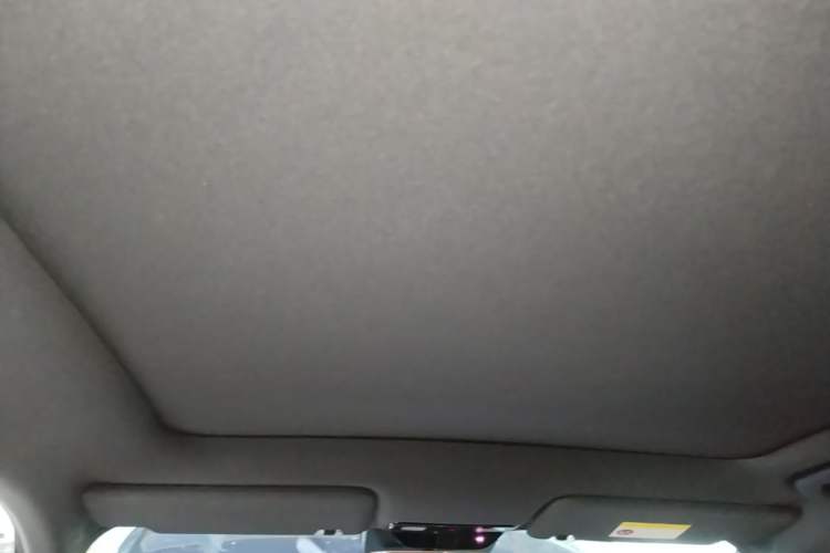 Used Li Auto L6 2024 Pro Model Headliner
