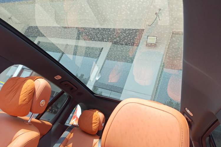 Used Li Auto L6 2024 Pro Model Headliner