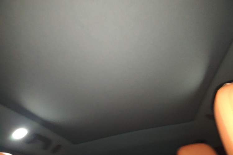 Used Li Auto L6 2024 Pro Model Headliner