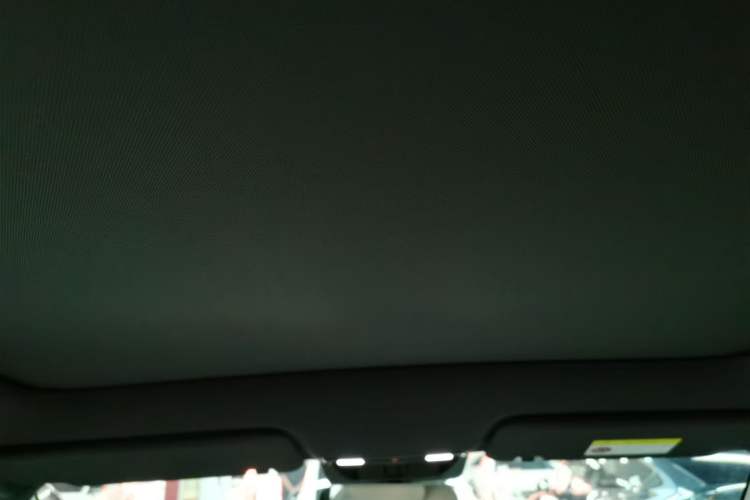 Used Li Auto L6 2024 Pro Model Headliner