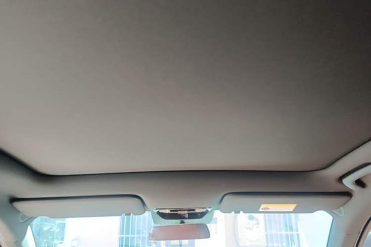 Used Li Auto L6 2024 Pro Model Headliner