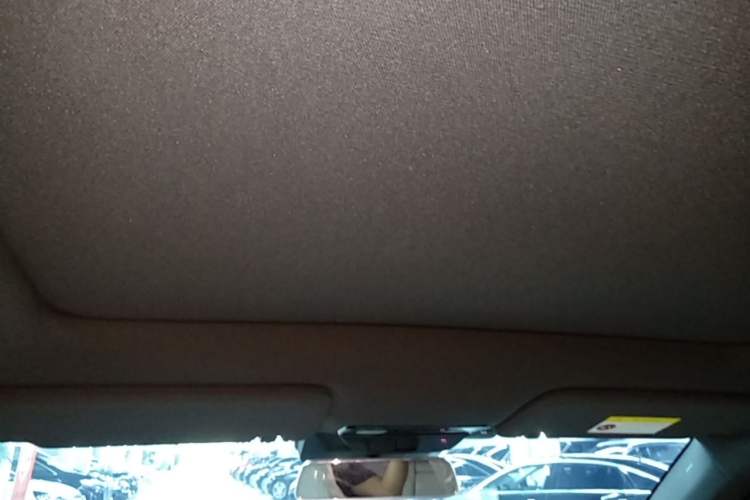 Used Li Auto L6 2024 Pro Model Headliner