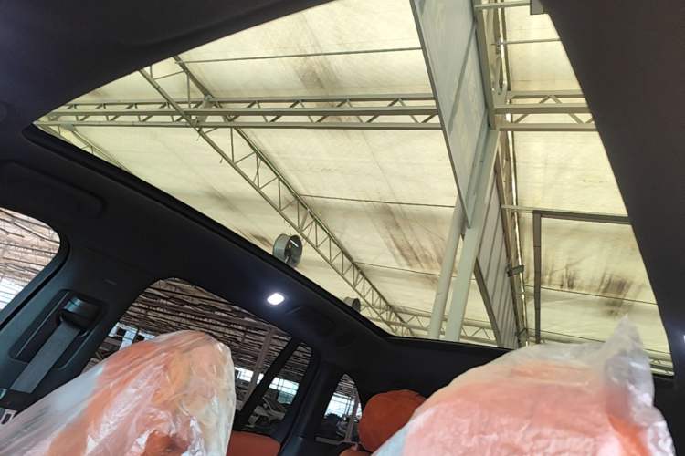 Used Li Auto L6 2024 Pro Model Headliner