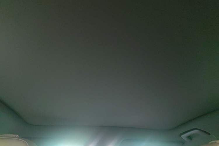 Used Li Auto L6 2024 Pro Model Headliner