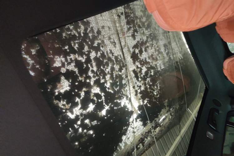 Used Li Auto L6 2024 Pro Model Headliner