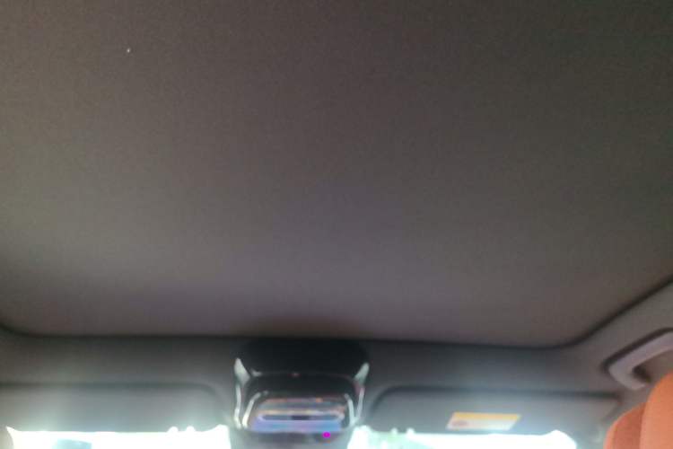 Used Li Auto L6 2024 Pro Model Headliner