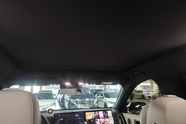 Used Li Auto L6 2024 Pro Model Headliner