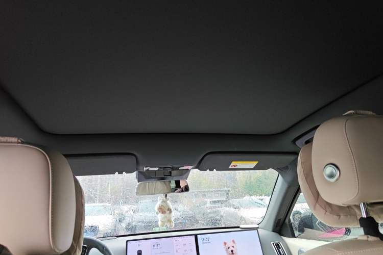 Used Li Auto L6 2024 Pro Model Headliner