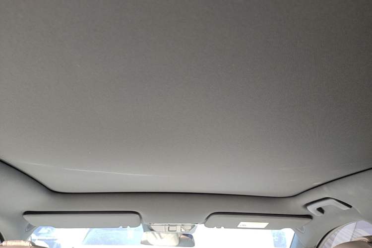 Used Li Auto L6 2024 Pro Model Headliner