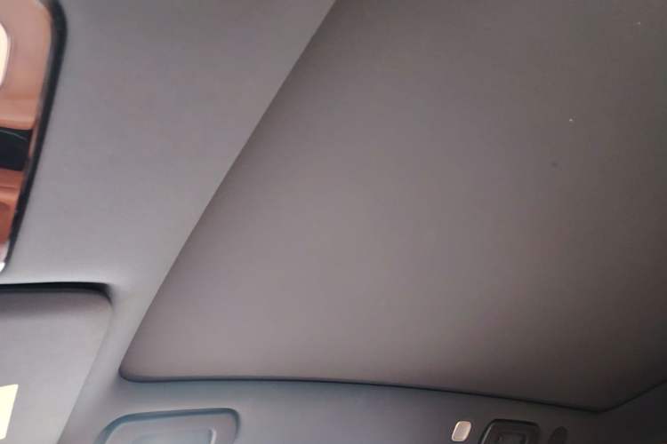 Used Li Auto L6 2024 Pro Model Headliner