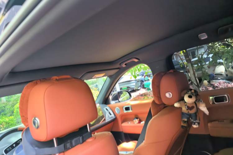 Used Li Auto L6 2024 Max Headliner