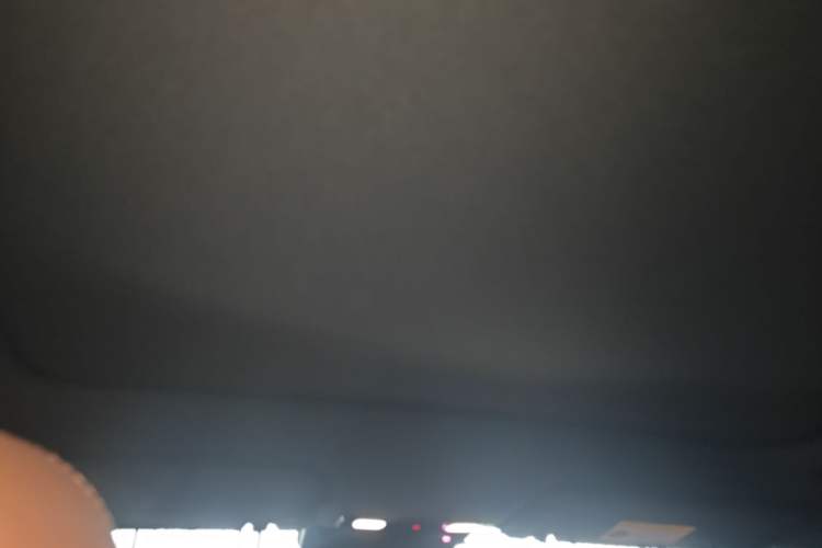 Used Li Auto L6 2024 Pro Model Headliner