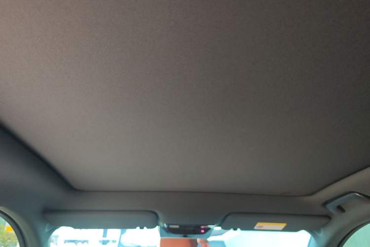 Used Li Auto L6 2024 Pro Model Headliner