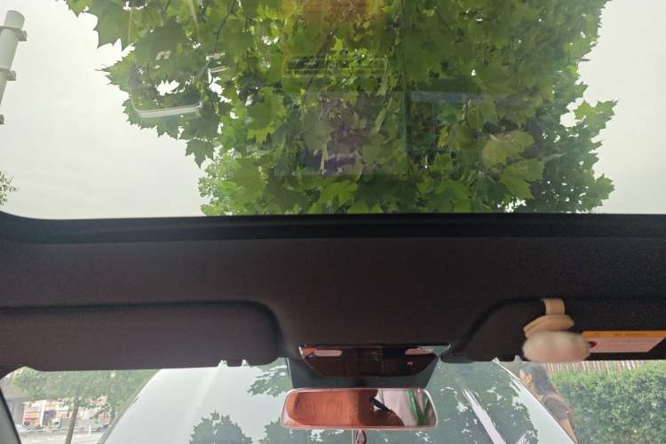Used Li Auto L6 2024 Max Headliner