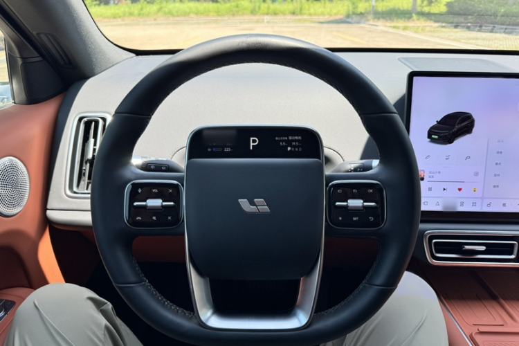 Used Li Auto L6 2024 Pro Model Interior 4