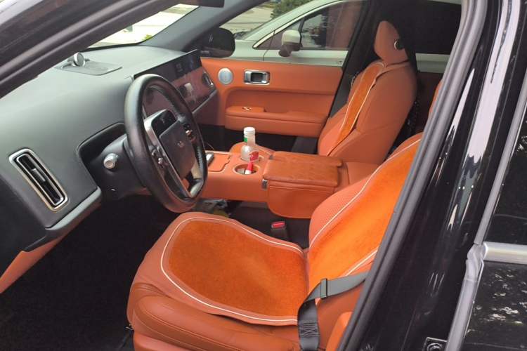 Used Li Auto L6 2024 Pro Model Left Front Seat