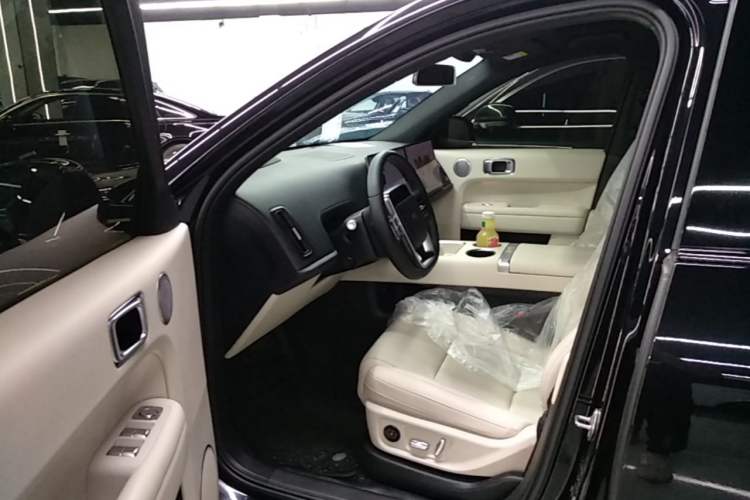 Used Li Auto L6 2024 Pro Model Left Front Seat