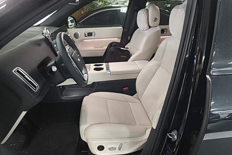 Used Li Auto L6 2024 Pro Model Left Front Seat