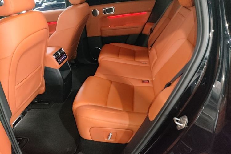 Used Li Auto L6 2024 Pro Model Left Rear Seat