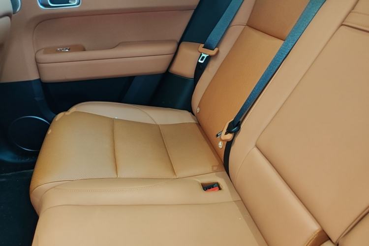Used Li Auto L6 2024 Pro Model Left Rear Seat