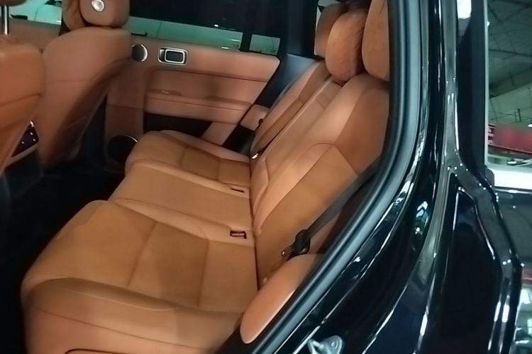 Used Li Auto L6 2024 Pro Model Left Rear Seat