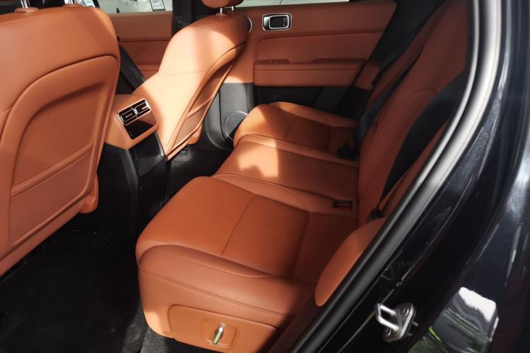 Used Li Auto L6 2024 Pro Model Left Rear Seat