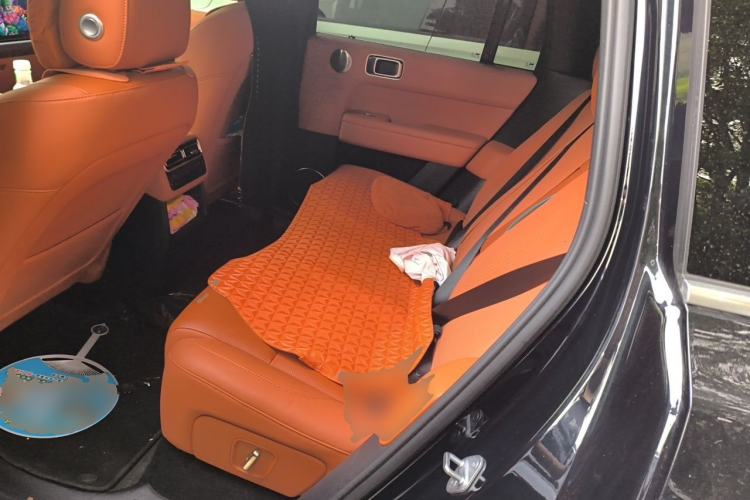 Used Li Auto L6 2024 Pro Model Left Rear Seat