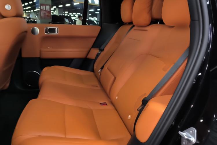 Used Li Auto L6 2024 Max Left Rear Seat