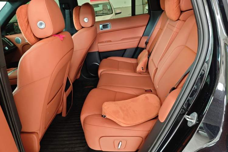 Used Li Auto L6 2024 Pro Model Left Rear Seat