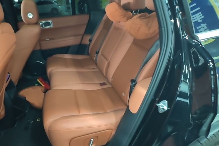 Used Li Auto L6 2024 Pro Model Left Rear Seat