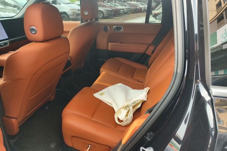 Used Li Auto L6 2024 Pro Model Left Rear Seat