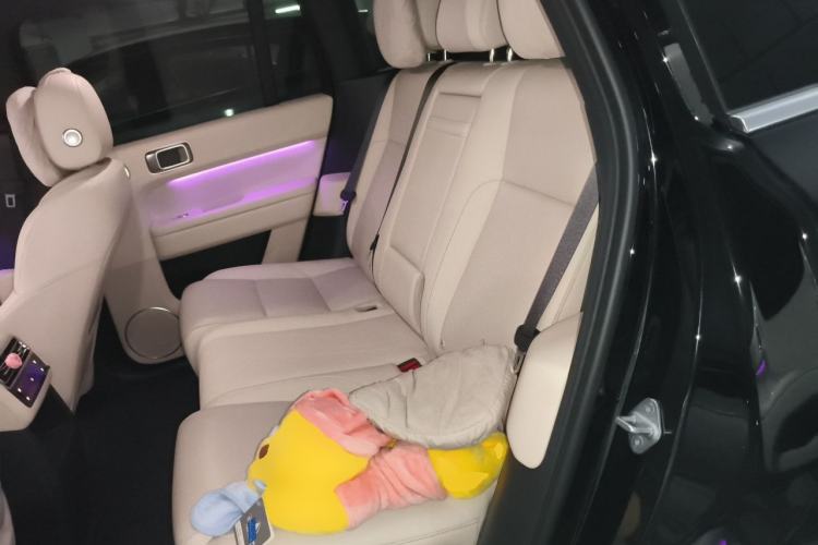 Used Li Auto L6 2024 Pro Model Left Rear Seat