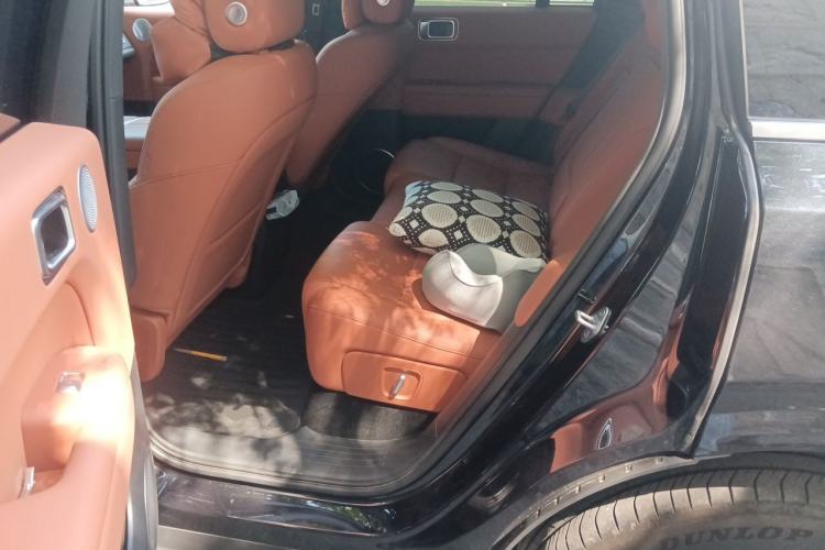 Used Li Auto L6 2024 Pro Model Left Rear Seat