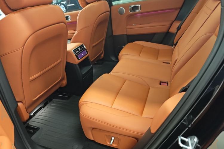 Used Li Auto L6 2024 Pro Model Left Rear Seat