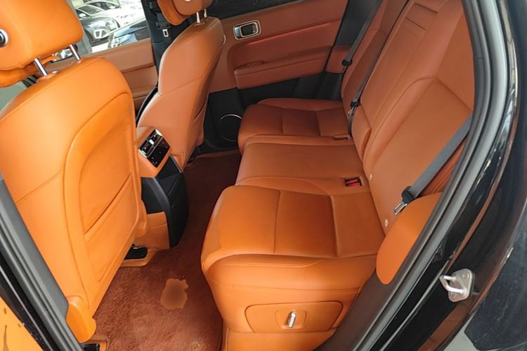Used Li Auto L6 2024 Pro Model Left Rear Seat