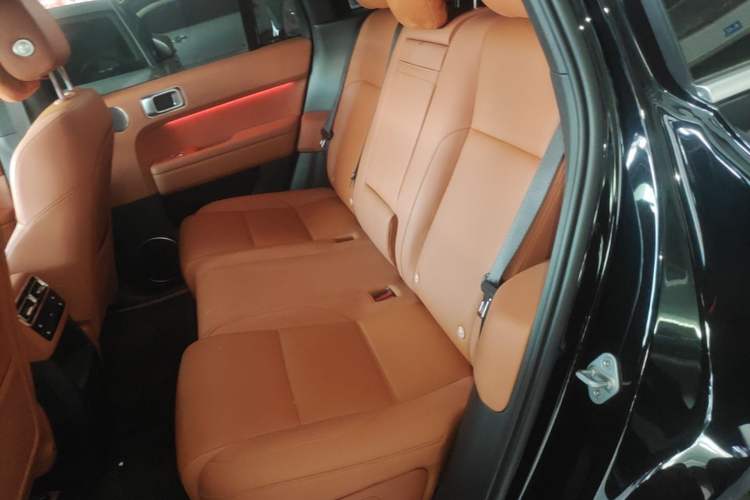 Used Li Auto L6 2024 Pro Model Left Rear Seat