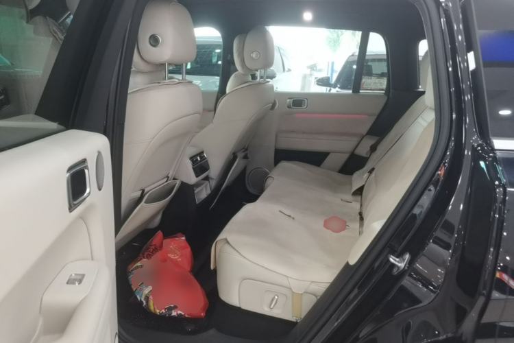 Used Li Auto L6 2024 Pro Model Left Rear Seat
