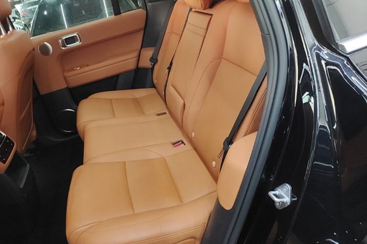 Used Li Auto L6 2024 Pro Model Left Rear Seat